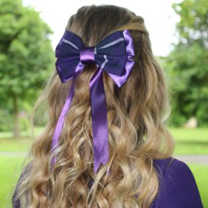 Ponytail bow clip